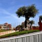 Jardim das Oliveiras - Porto