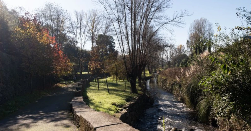 60 Anos dos SASUP: Uma Caminhada Verde em Celebração